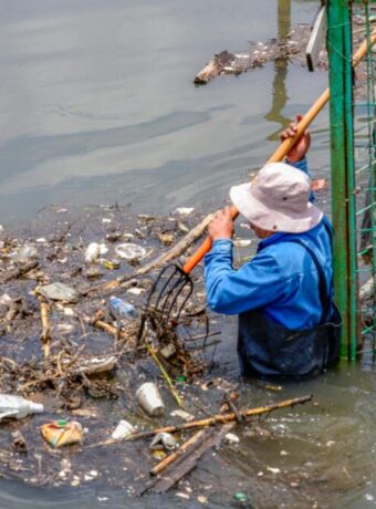 Christchurch environment pollution — Environment