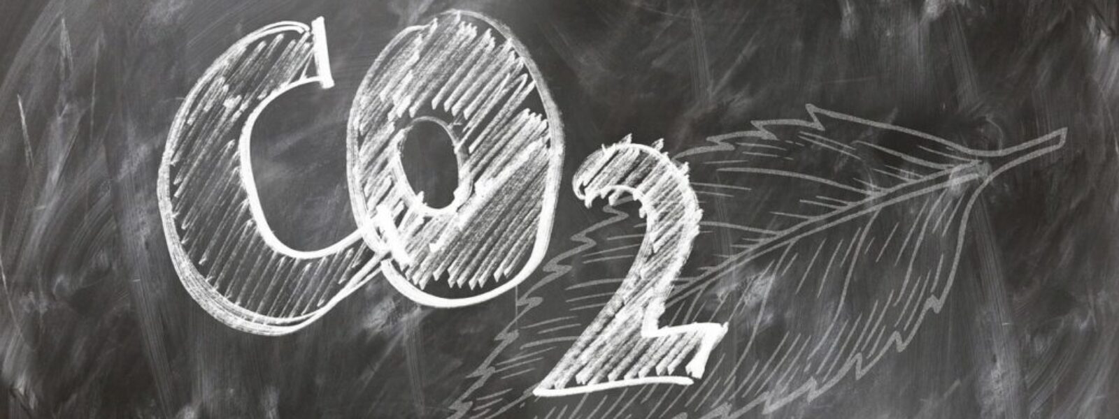 carbon credit market — Environment