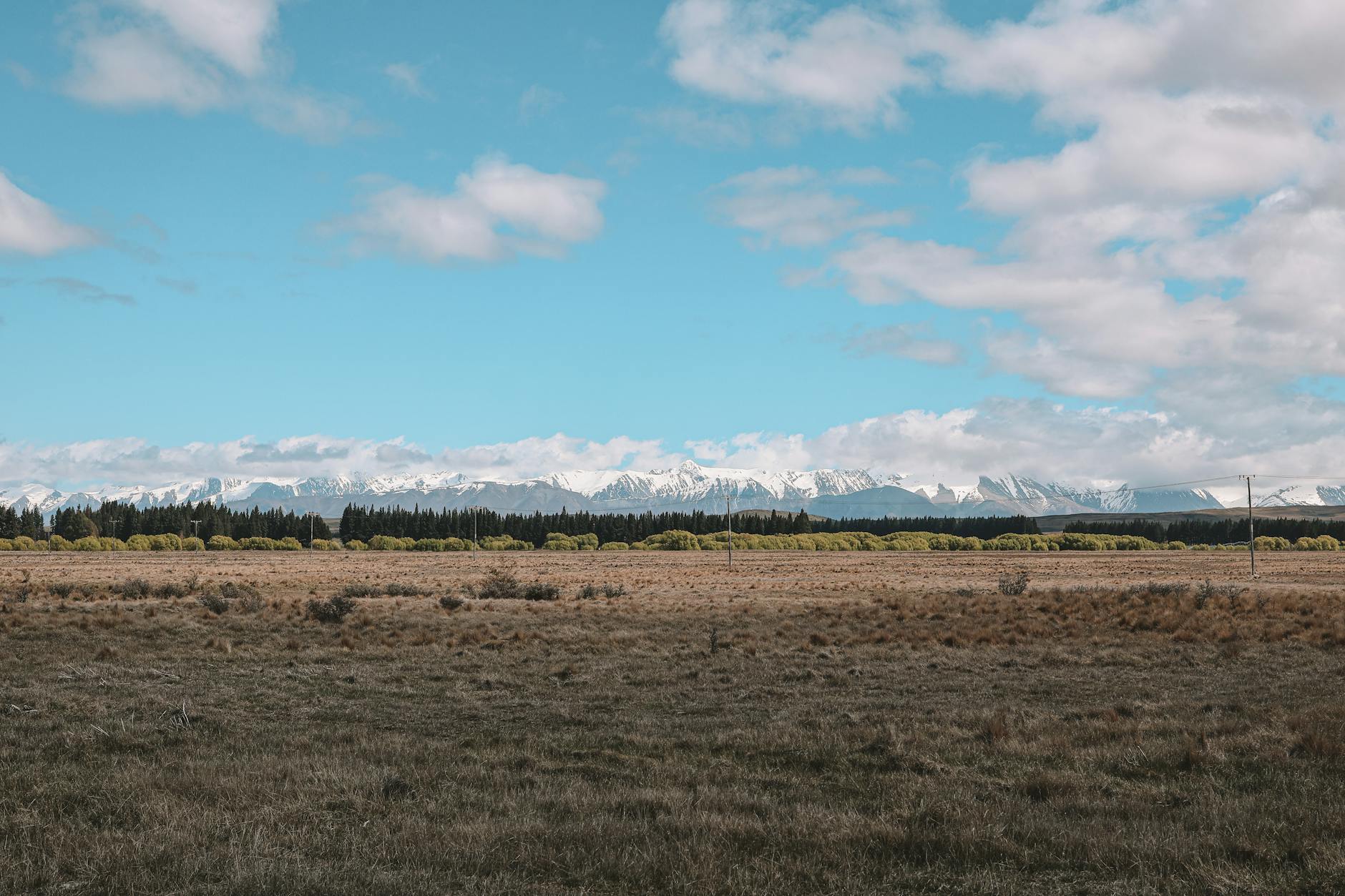 four-day work week New Zealand