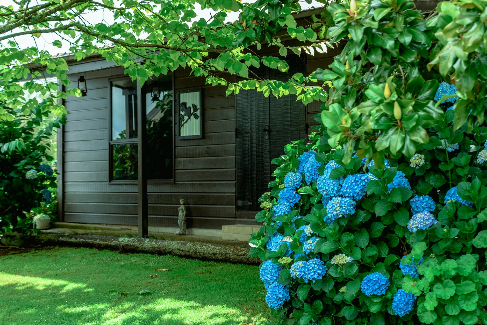 tiny home lifestyle New Zealand