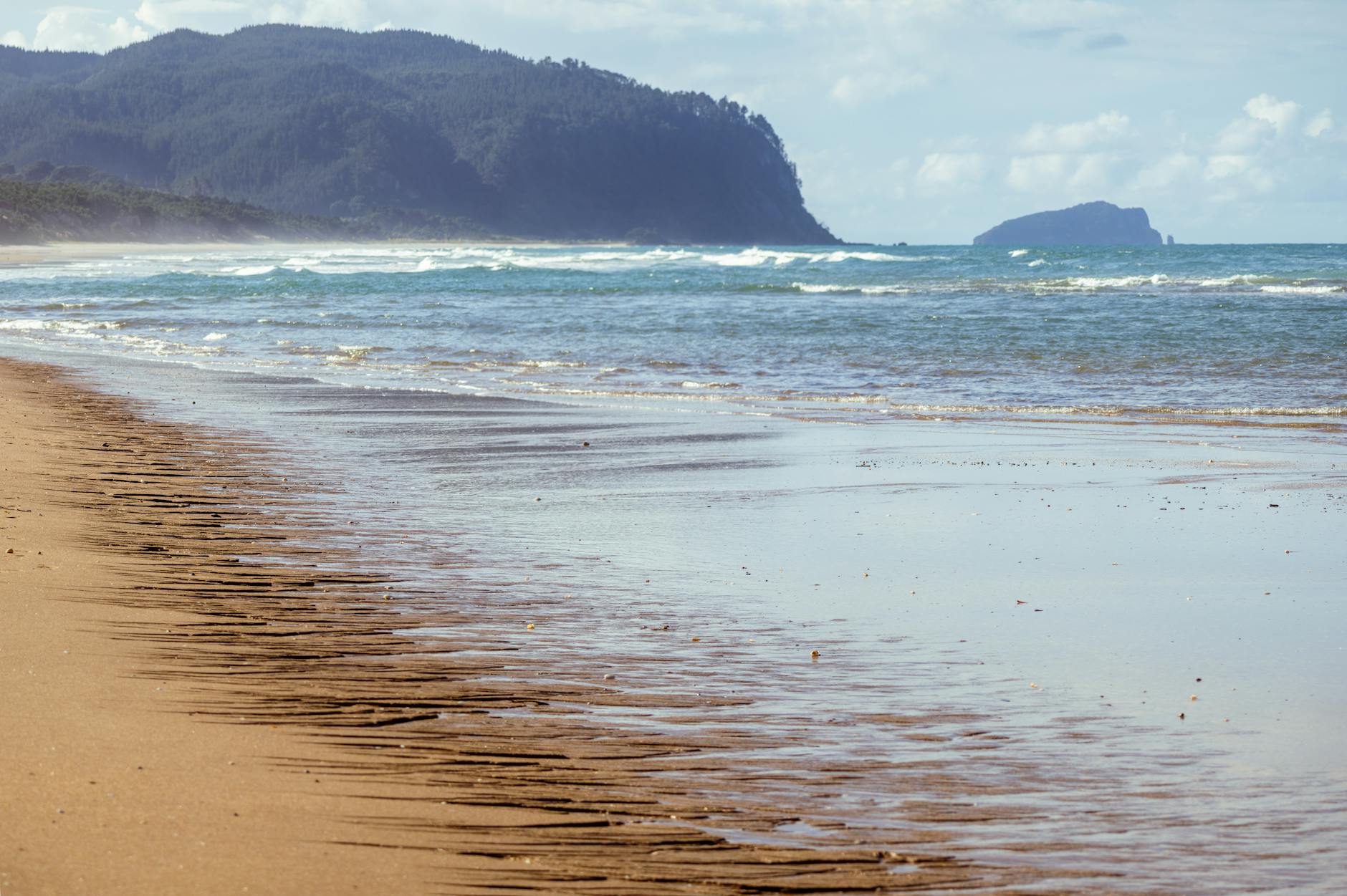 sport funding cuts New Zealand