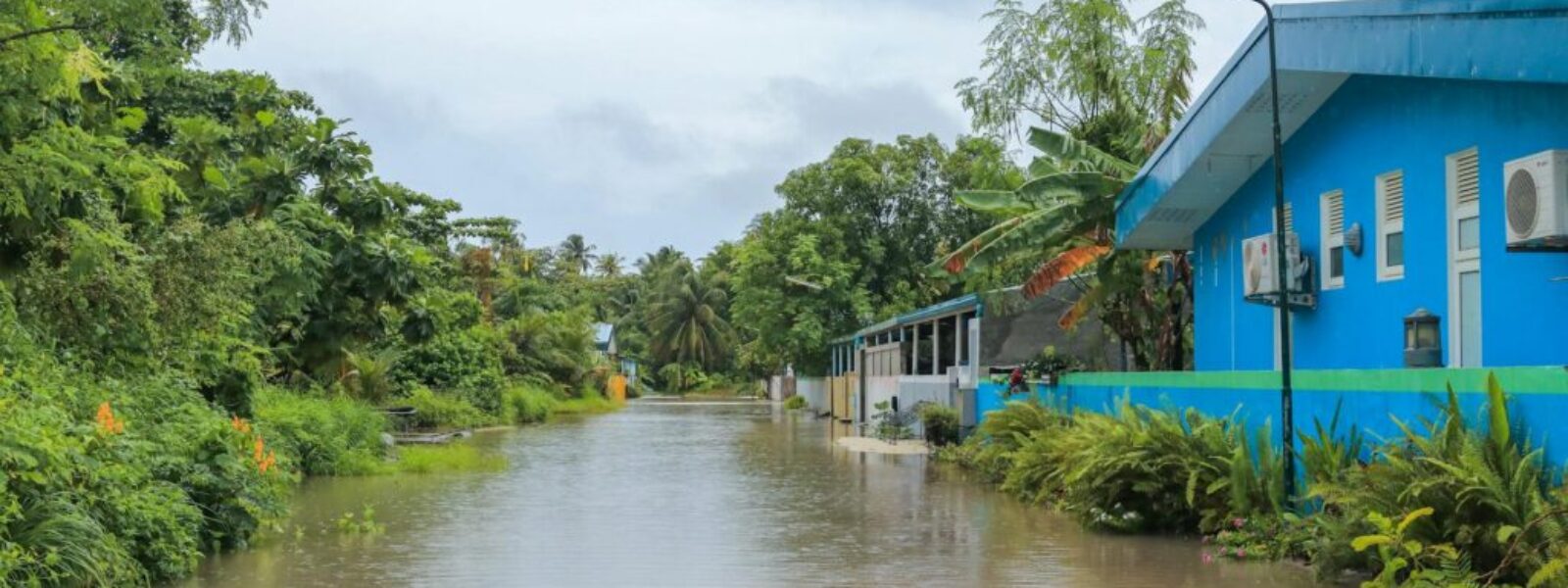 Pacific climate refugees — World