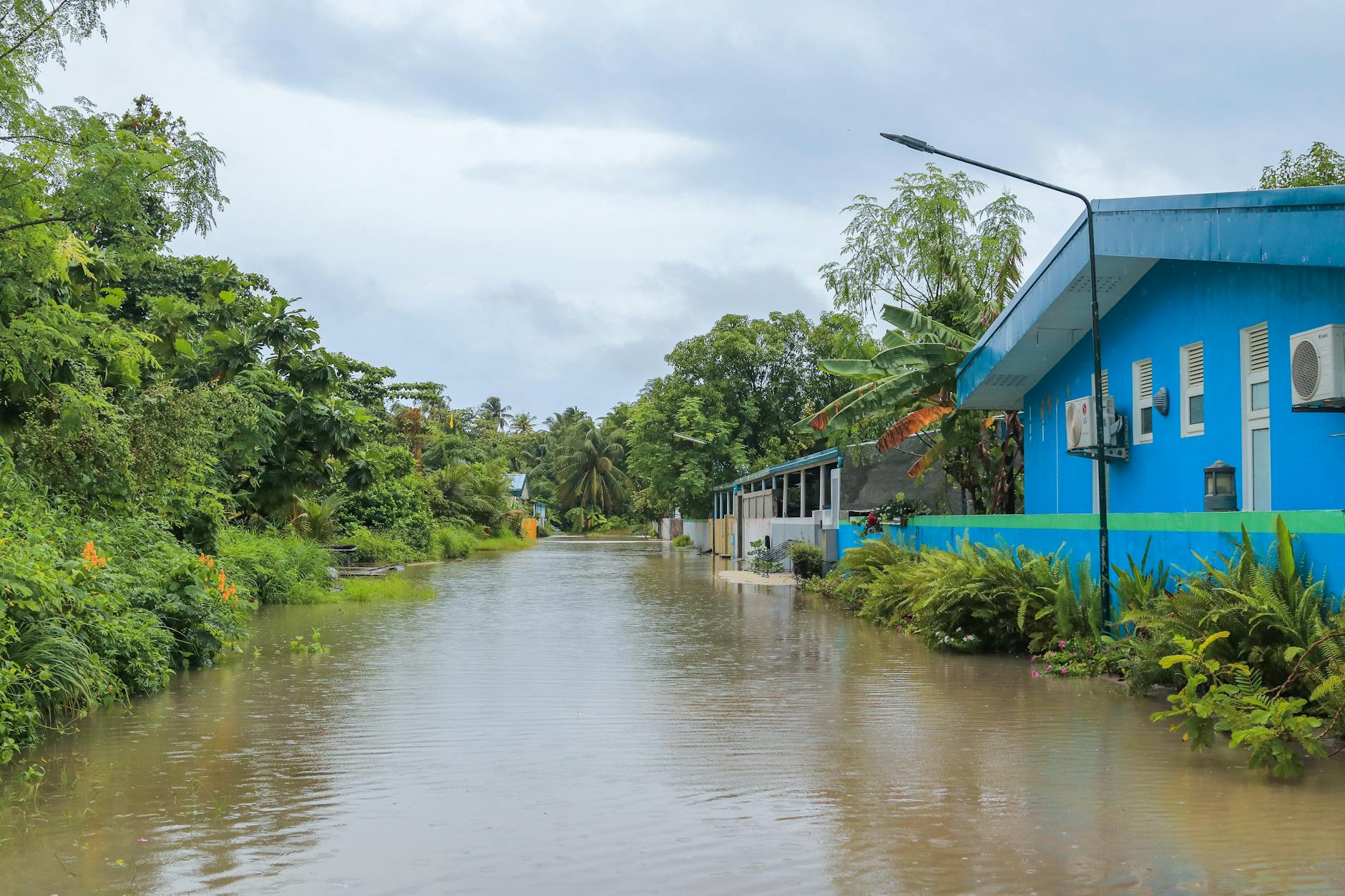 Pacific climate refugees — World