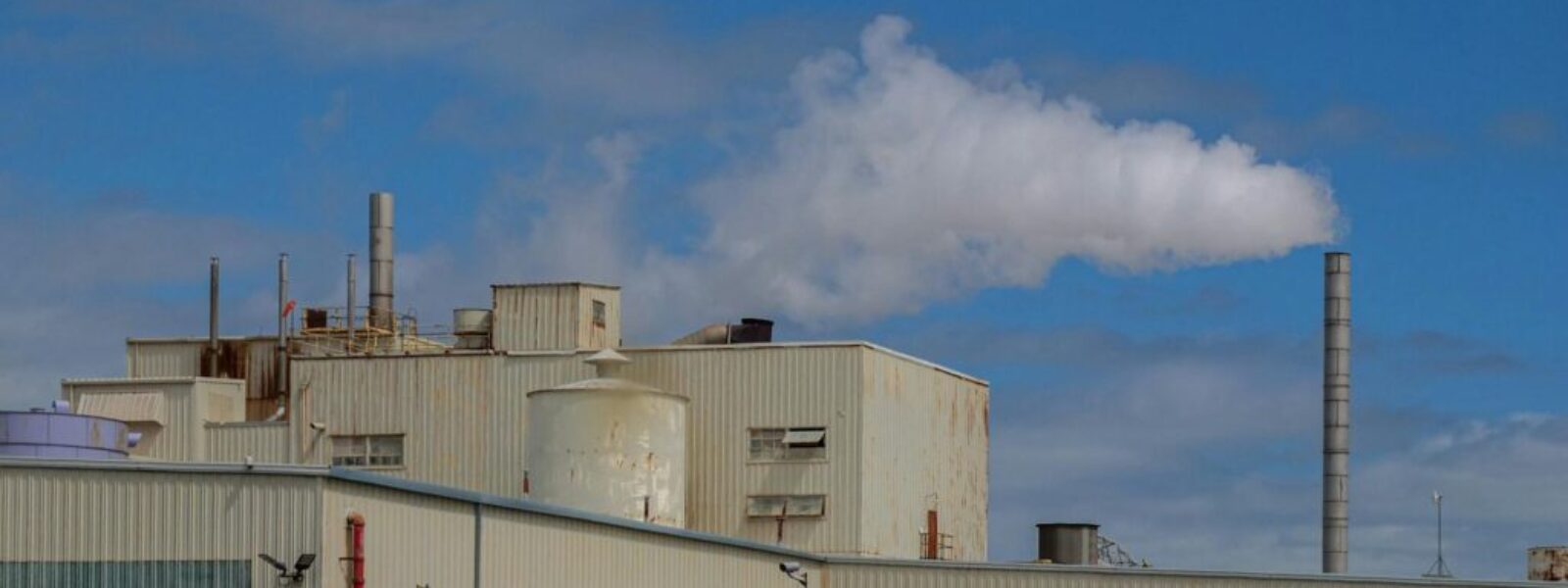 carbon zero target — Environment