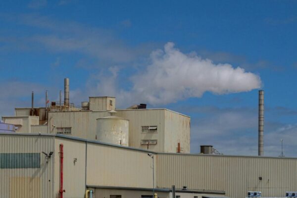carbon zero target — Environment