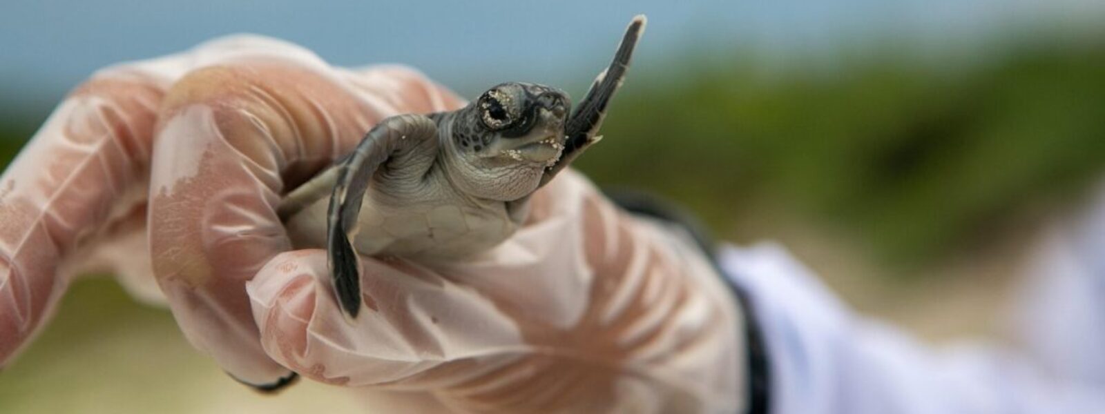 marine protected areas — Environment