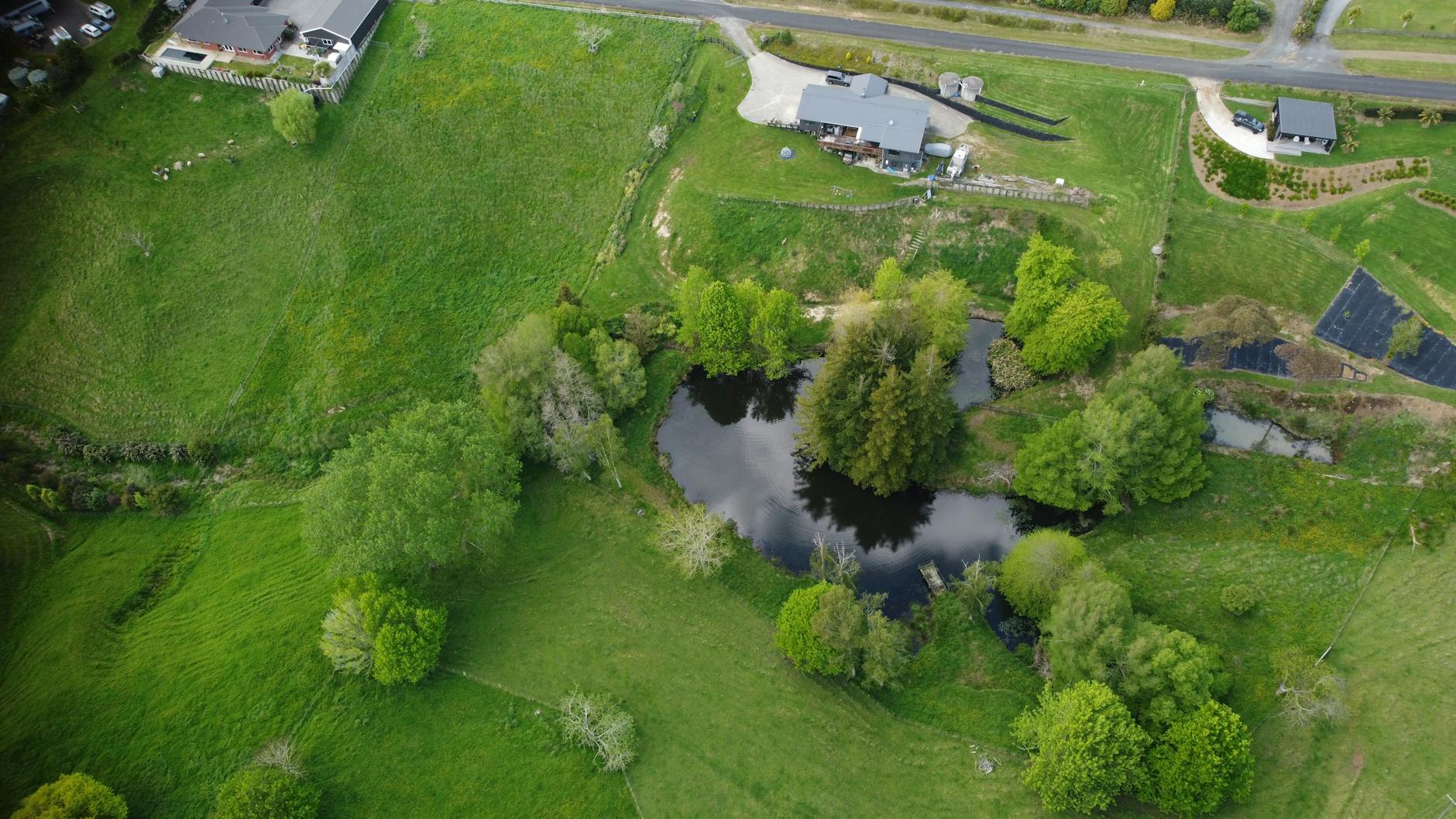 wetland restoration New Zealand New Zealand