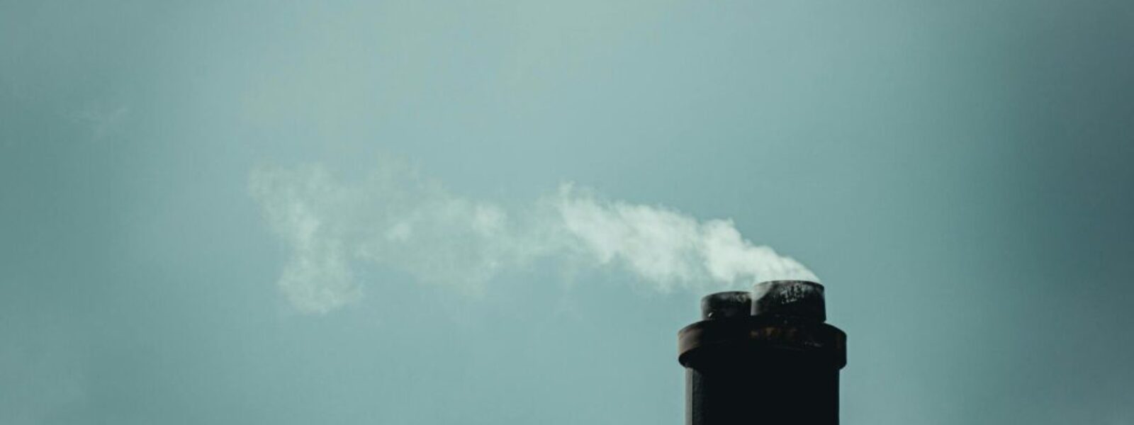 carbon zero policy — Environment