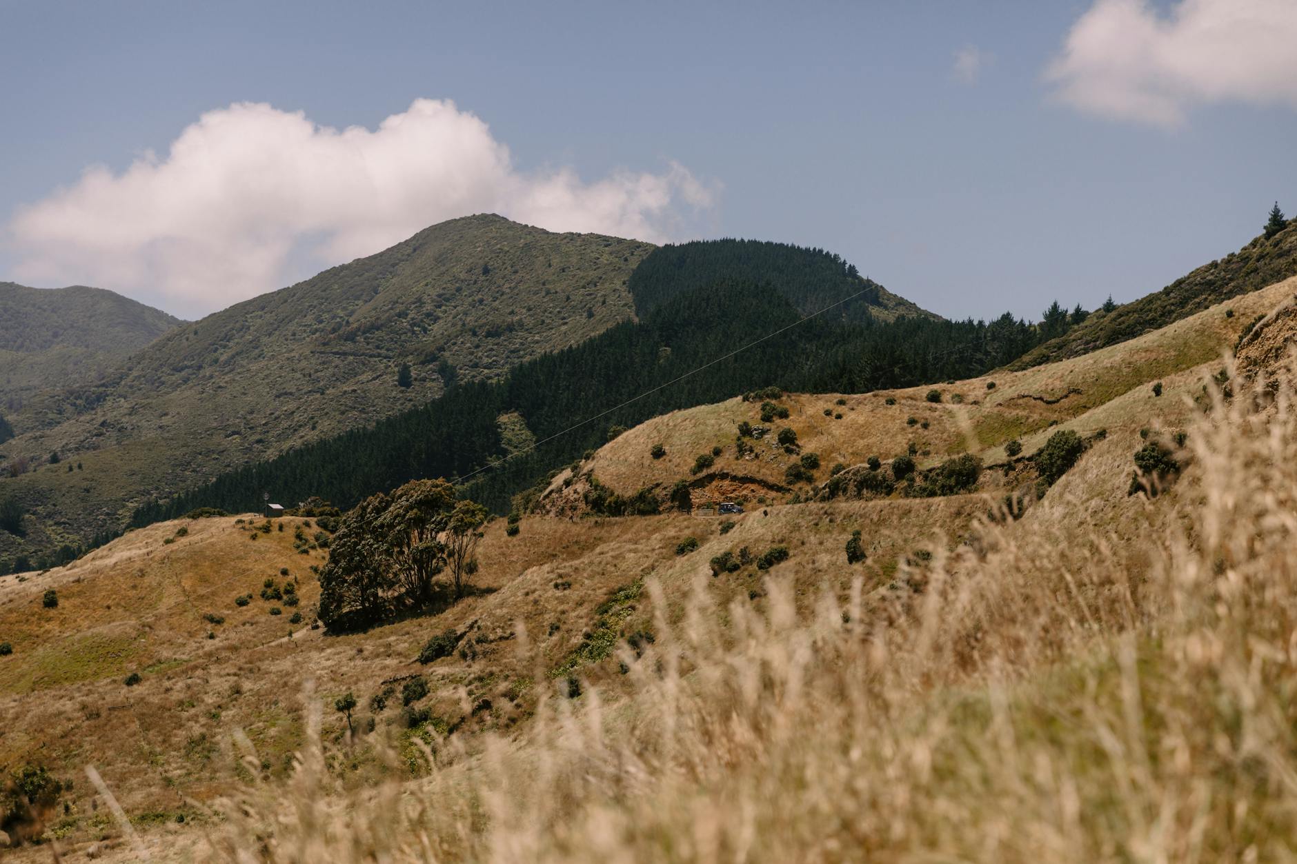 carbon zero policy New Zealand