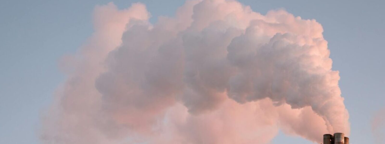 carbon emissions targets — Environment