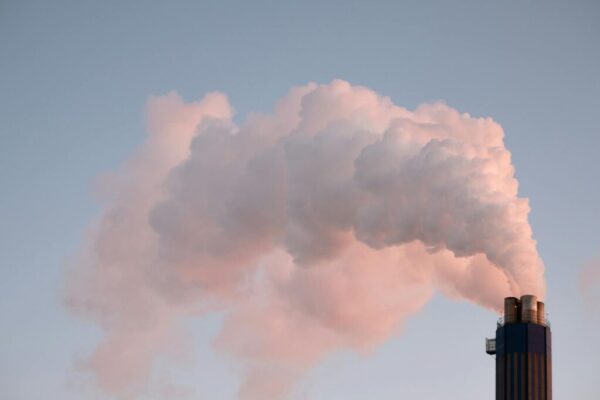 carbon emissions targets — Environment