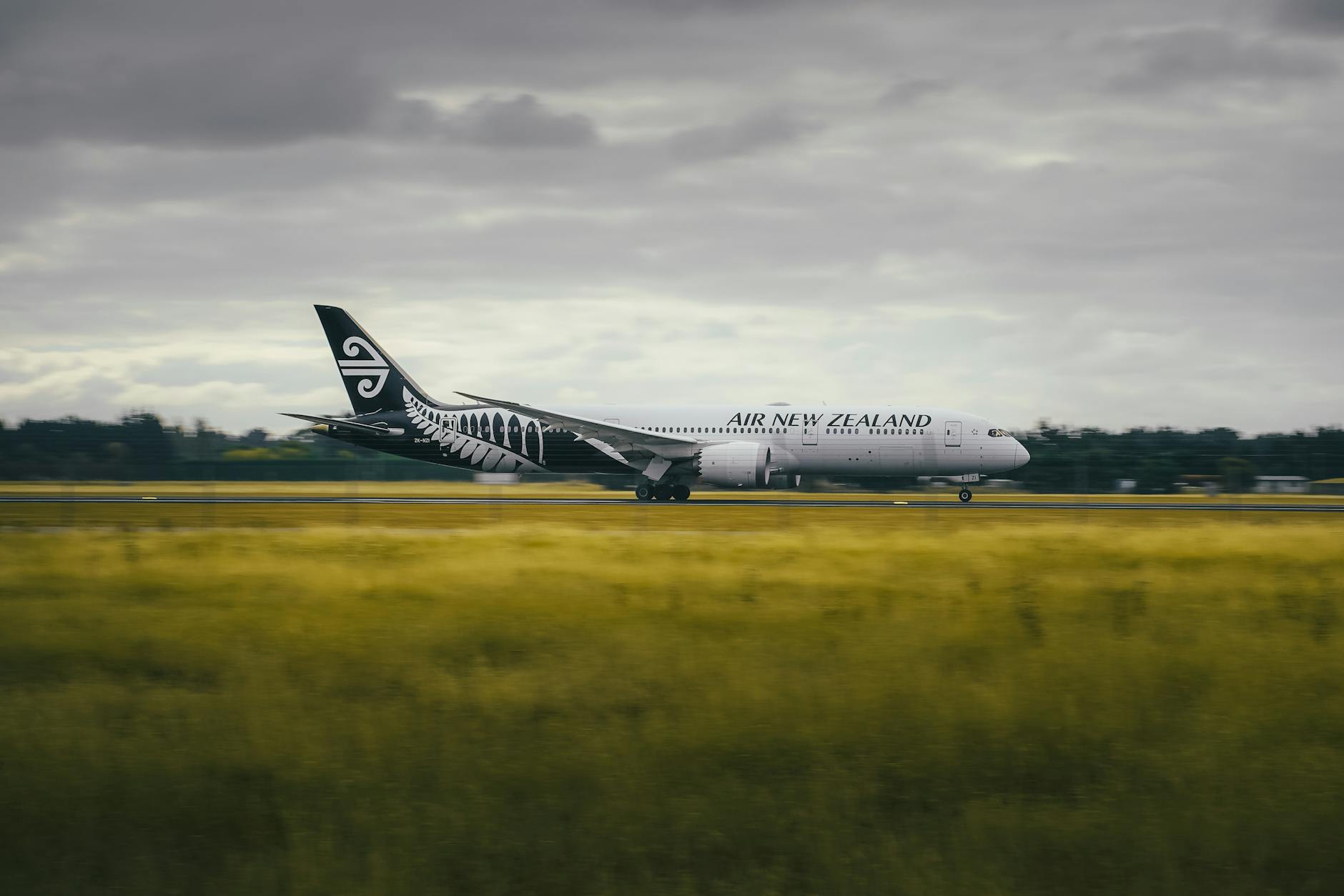 carbon credits crash New Zealand