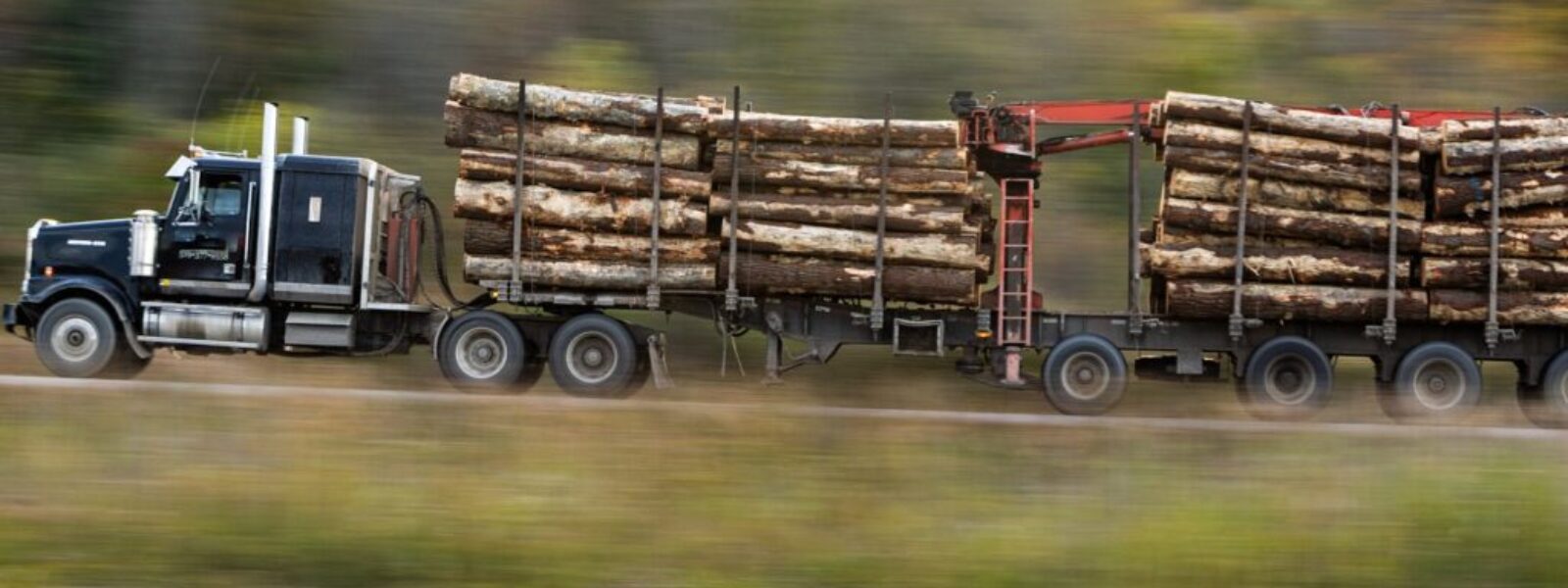 carbon credit scandal — Environment