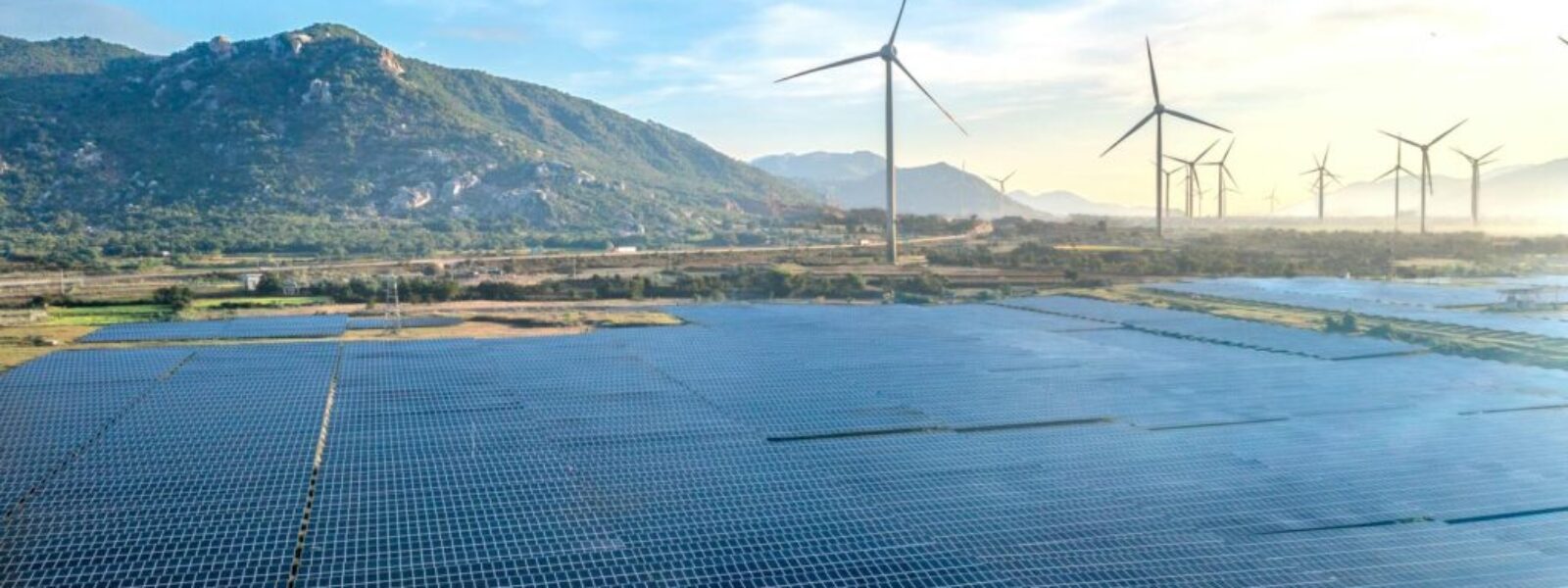 Carbon Zero Bill — Environment