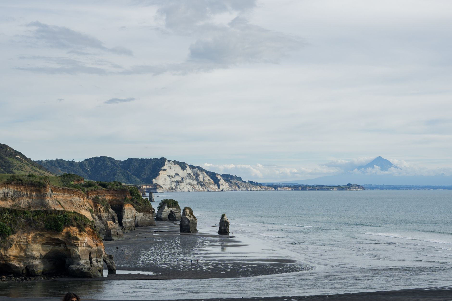 environment policy challenges New Zealand