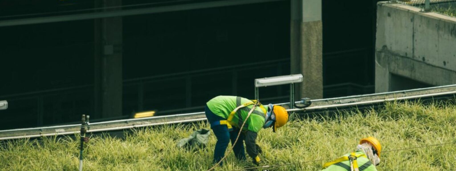 green jobs decline — Environment