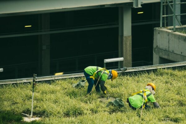 green jobs decline — Environment