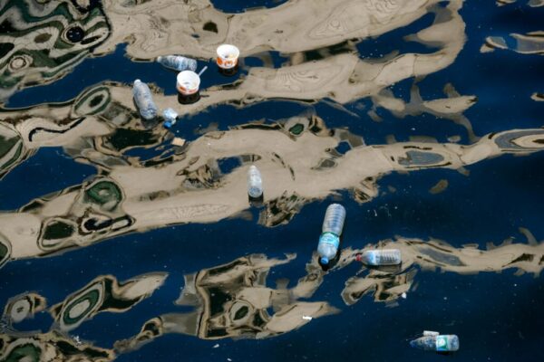 plastic pollution crisis — Environment
