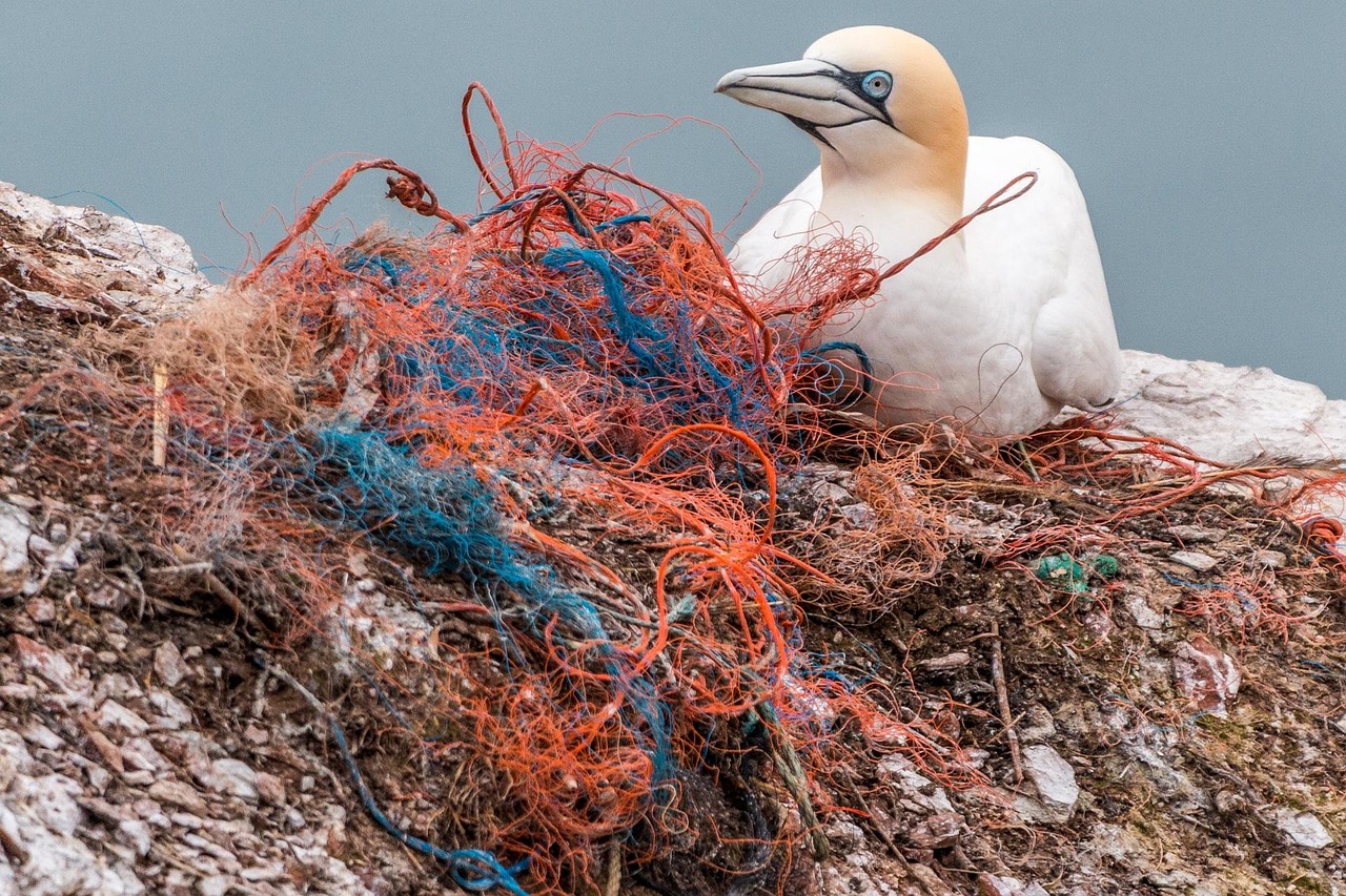 plastic pollution crisis New Zealand