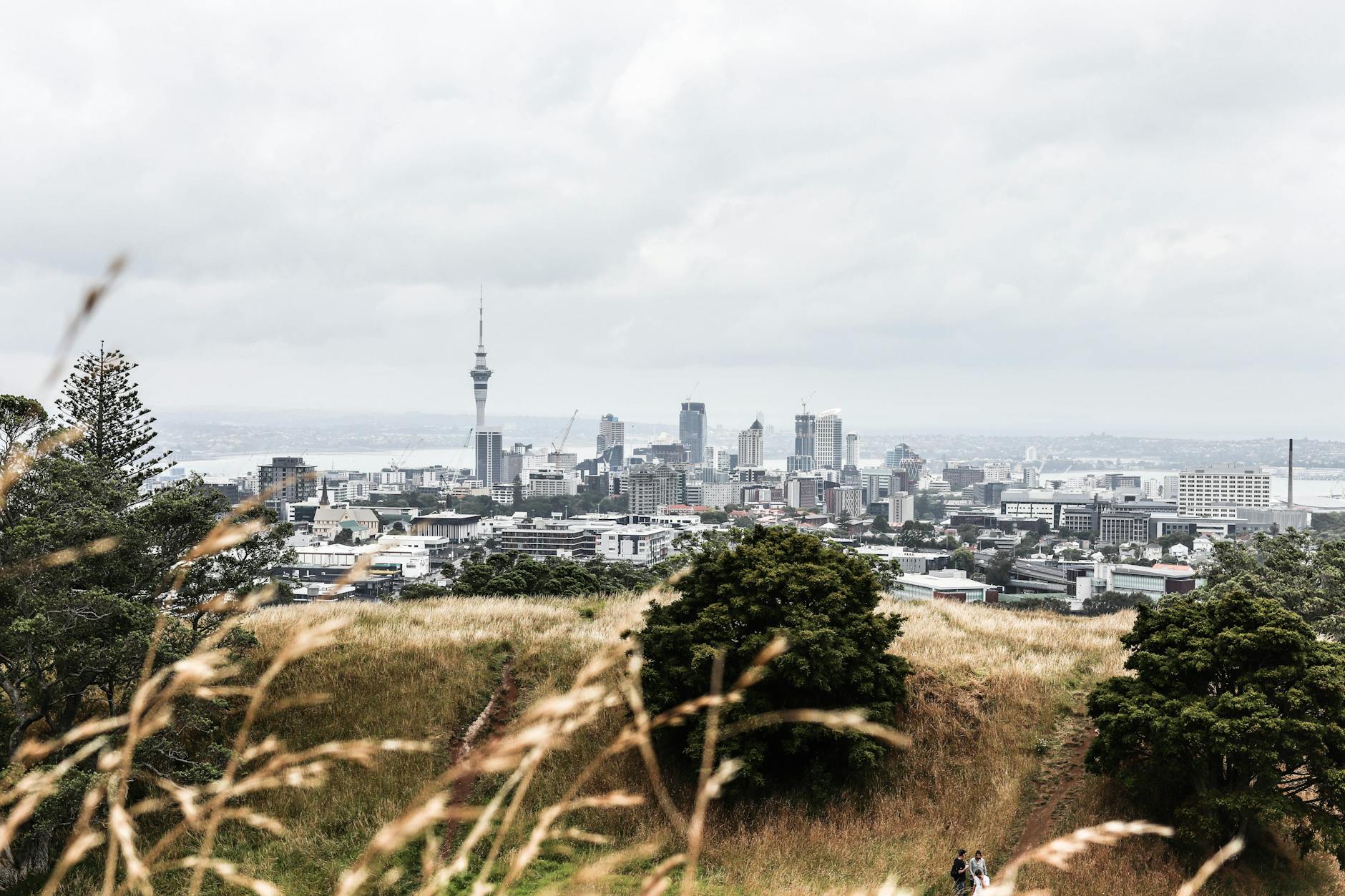 Auckland café culture New Zealand