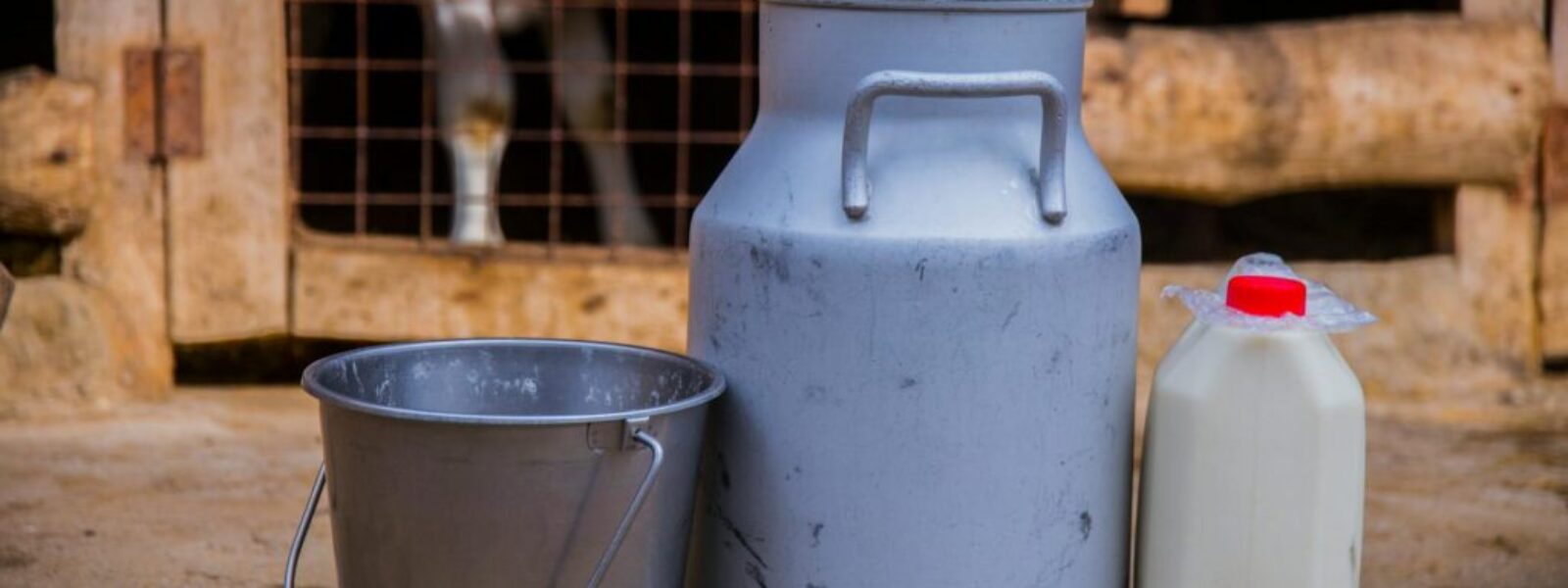 world dairy markets — World