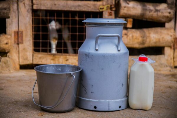 world dairy markets — World