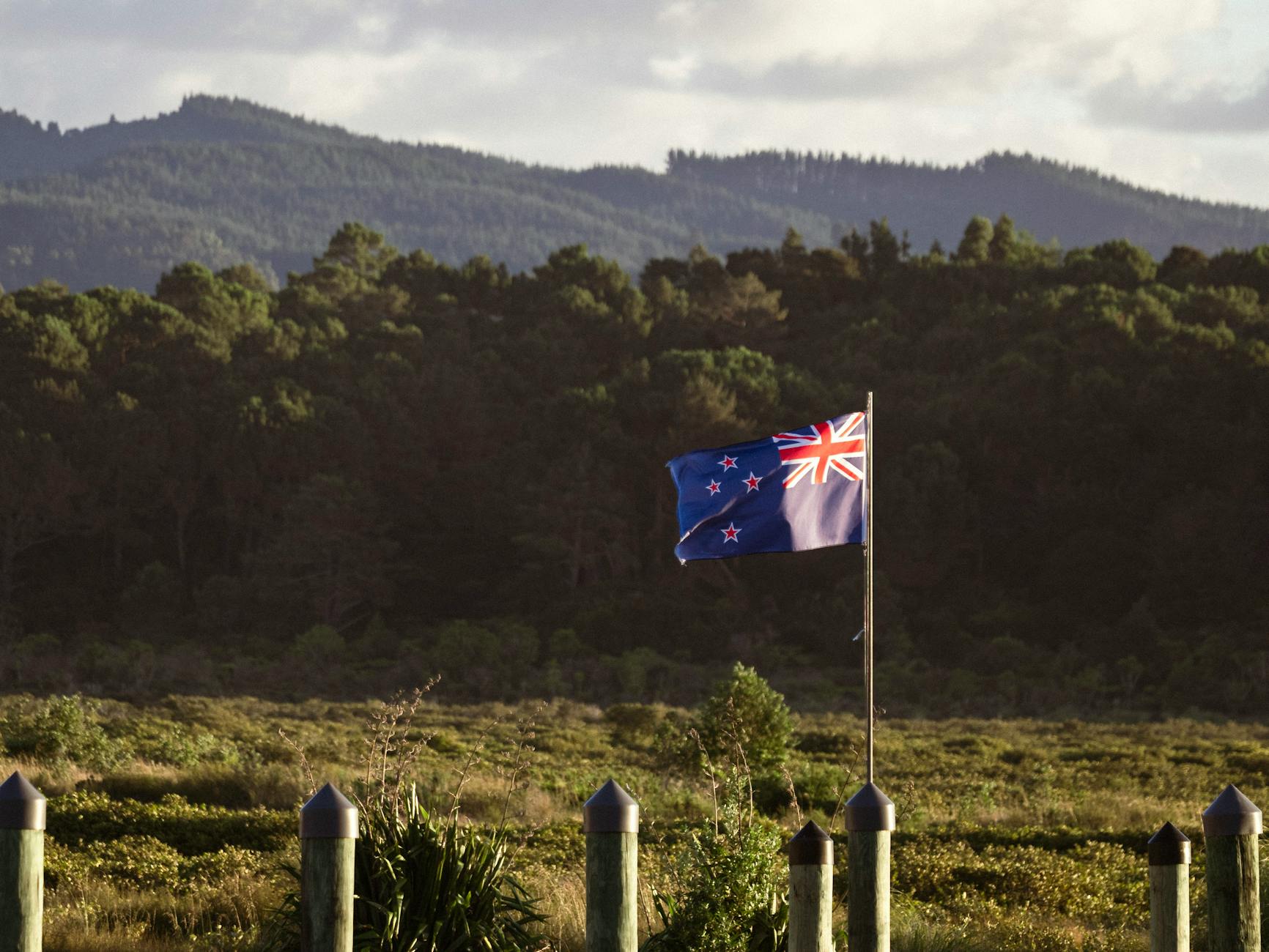 New Zealand dollar surge New Zealand