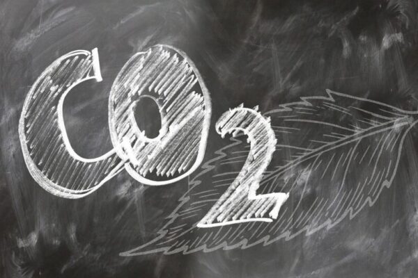 carbon offset crackdown — Environment