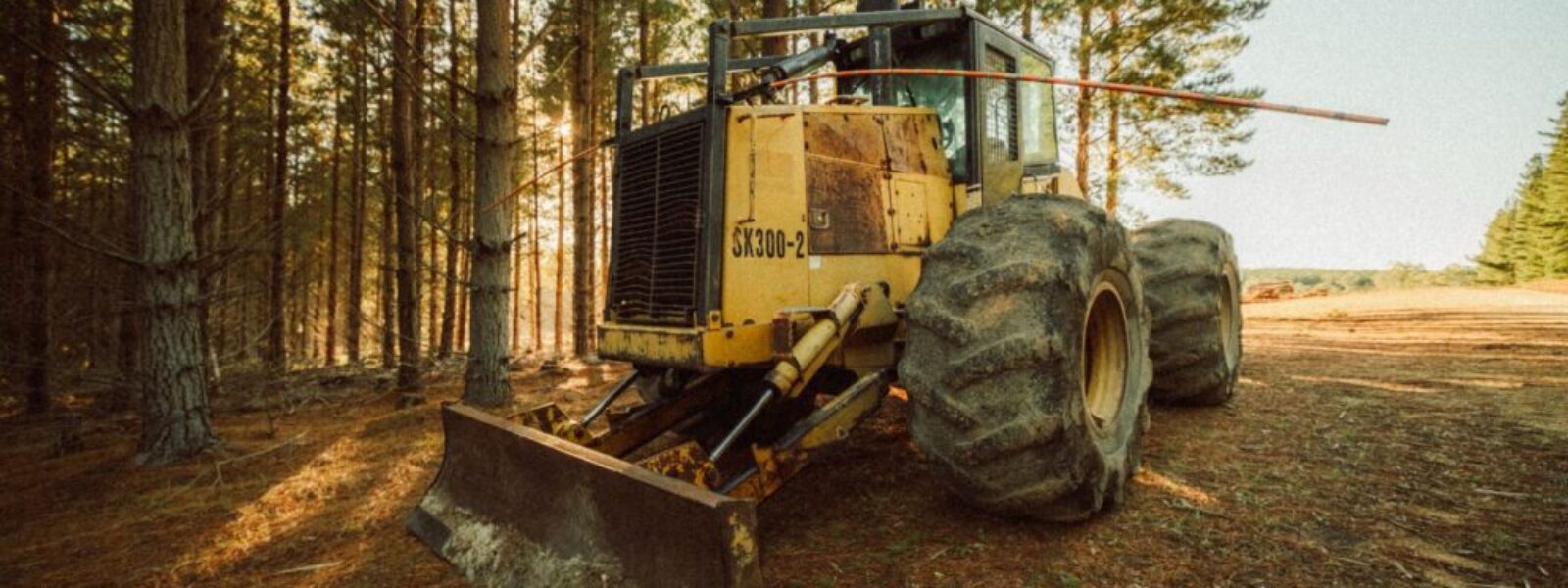 carbon credits market — Environment