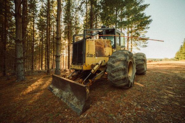 carbon credits market — Environment