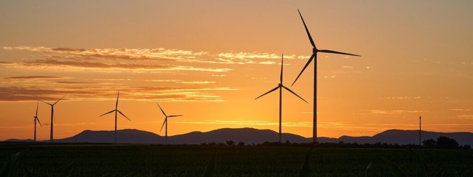carbon zero targets — Environment