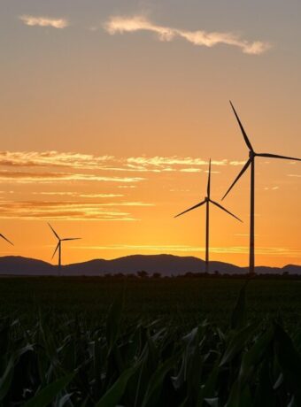 carbon zero targets — Environment