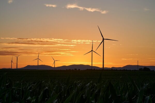 carbon zero targets — Environment