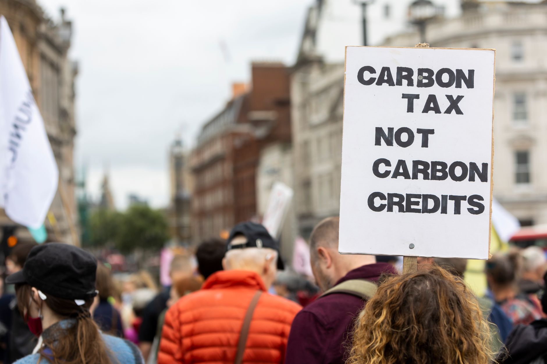 carbon credit fraud New Zealand