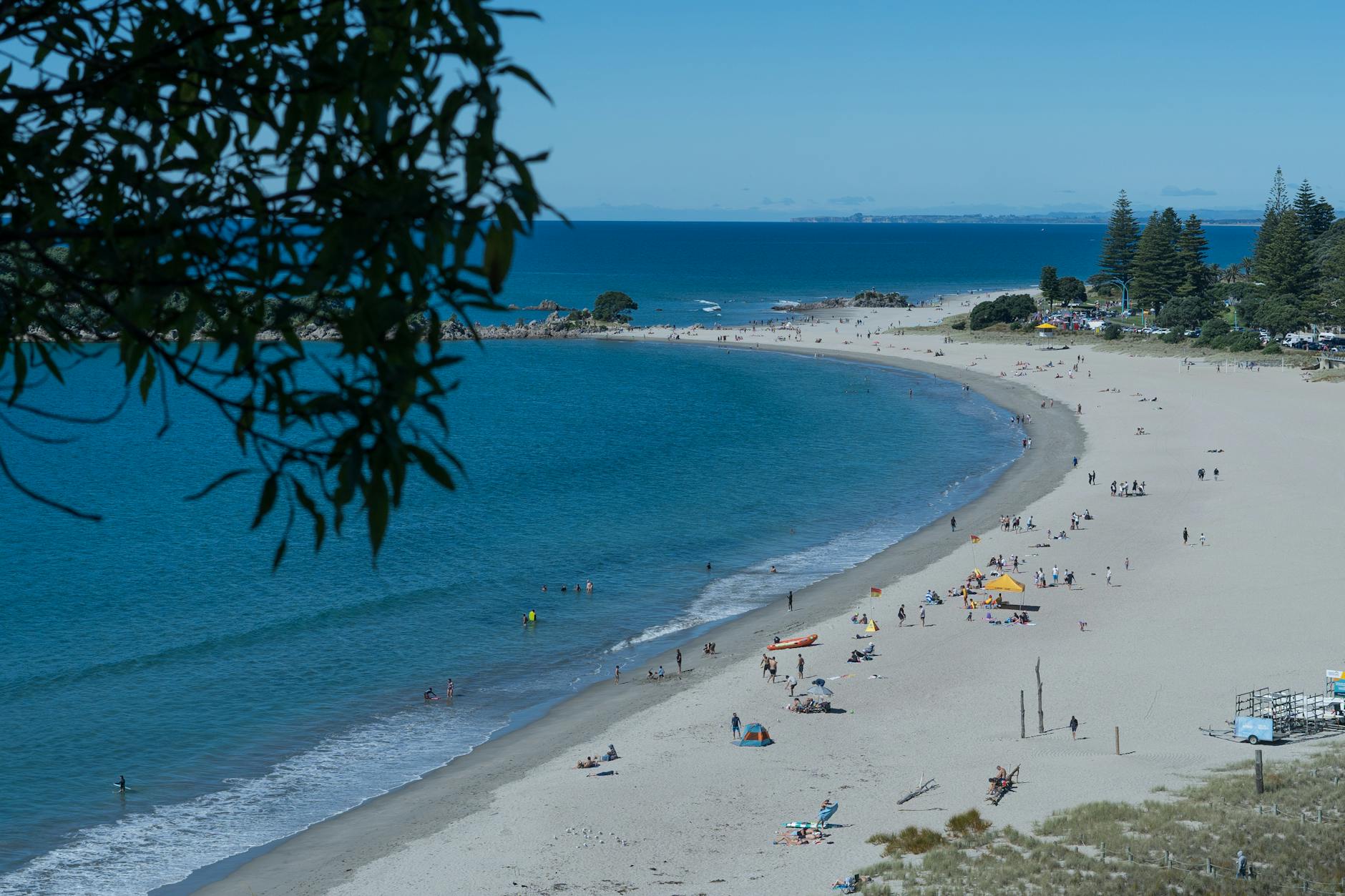 workplace wellness trends New Zealand
