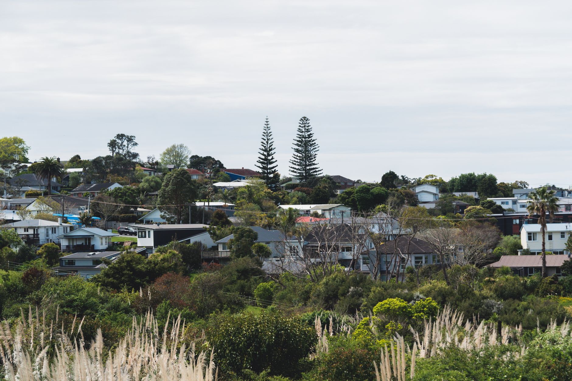 lifestyle spending trends New Zealand