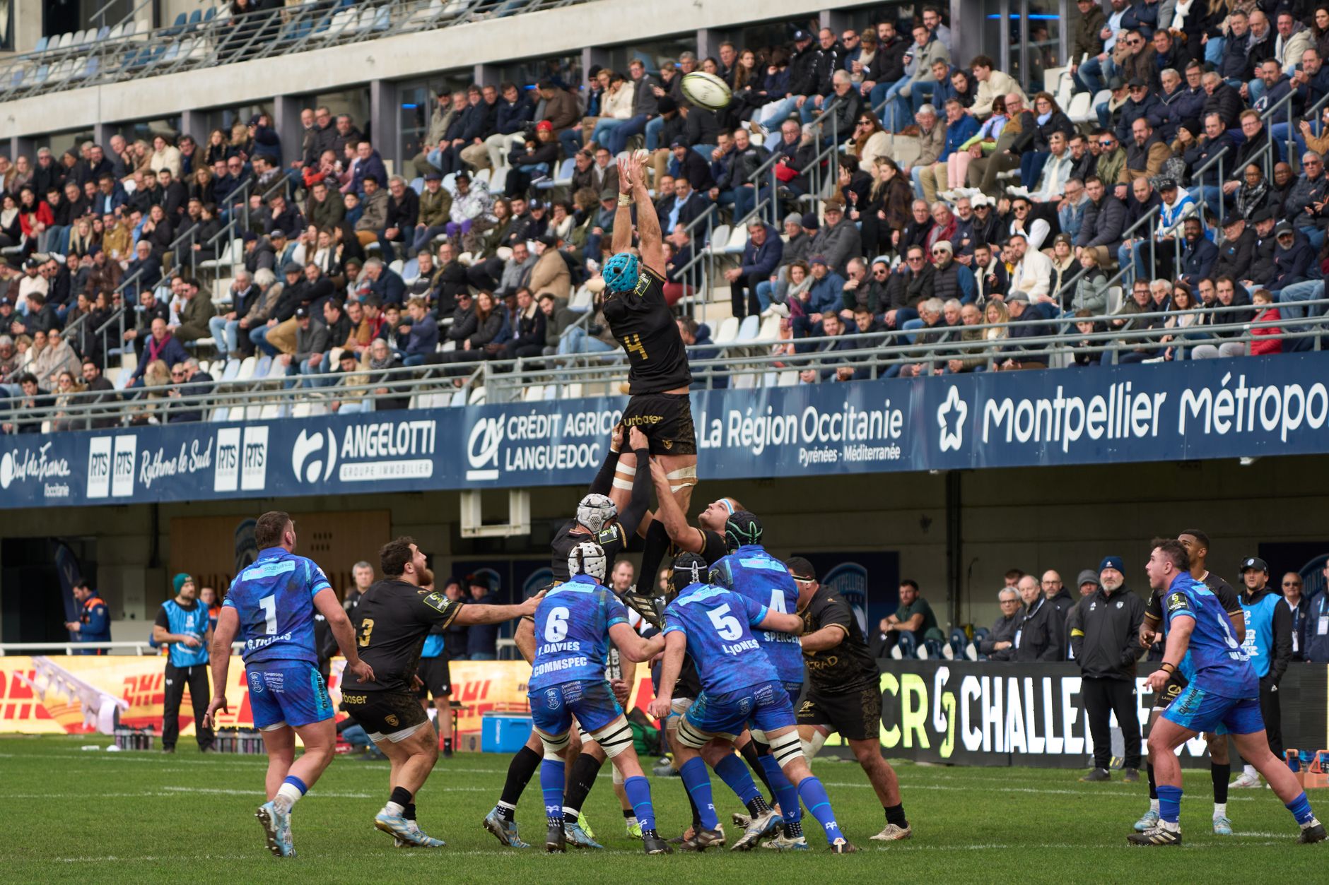 Rugby World Cup bid New Zealand